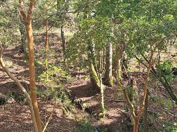 PANGUIPULLI, PARCELA CON CASA EN TERRENO DE 21400 MTS2