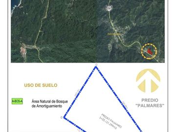 Se Vende Rancho, 25,000 m2 incluye, departamento loft, 2 pozos de agua, 2 palapas, palmas, arboles.
