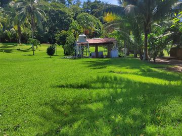 Se Vende Rancho, 25,000 m2 incluye, departamento loft, 2 pozos de agua, 2 palapas, palmas, arboles.