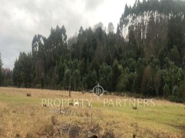 Parcelas  sector de Los Lagos