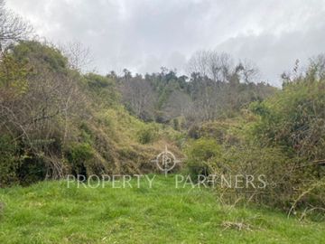 Terreno en Riñihue, sector Flor del Lago