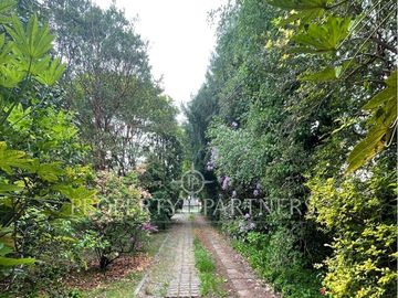 Gran Propiedad a orillas del Río Calle calle