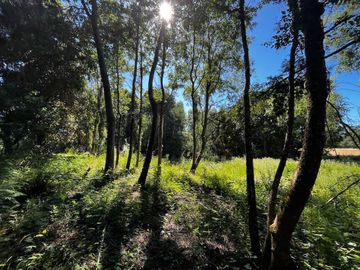 Maravillosa parcela con orilla de rio (Lanco)