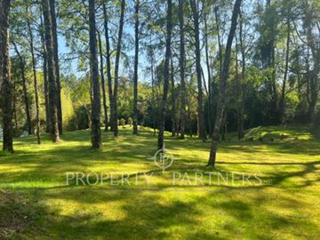 Parcela en  inigualable entorno con vista al río,  sector  Los Robles, Los Lagos