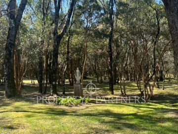 Parcela en  inigualable entorno con vista al río,  sector  Los Robles, Los Lagos