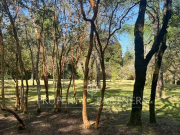 Parcela en  inigualable entorno con vista al río,  sector  Los Robles, Los Lagos
