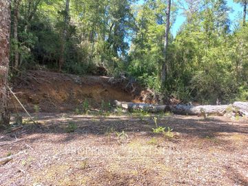 Parcela en Condominio sector Chancoyan