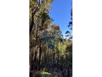 Terreno de 1,9 hectareas en el Maizal,  con bosque nativo y estero