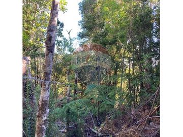Terreno de 1,9 hectareas en el Maizal,  con bosque nativo y estero