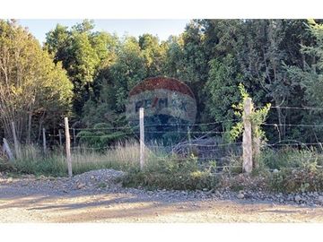 Terreno de 1,9 hectareas en el Maizal,  con bosque nativo y estero
