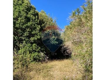 Terreno de 1,9 hectareas en el Maizal,  con bosque nativo y estero