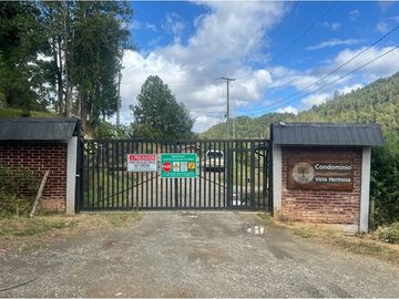 VENTA, Parcela  con bosque nativo y río,  Valdivia