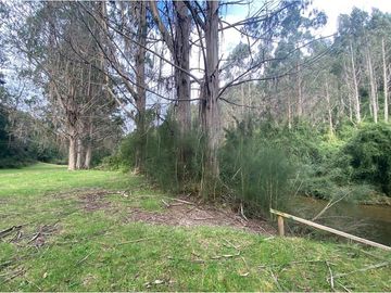 VENTA, Parcela  con bosque nativo y río,  Valdivia