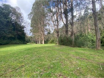 VENTA, Parcela  con bosque nativo y río,  Valdivia