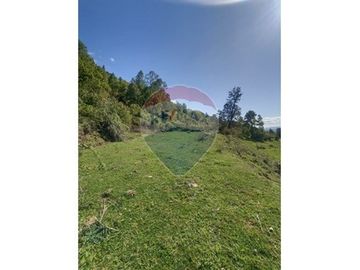 Venta ,Terreno de Ensueño vista al lago Riñihue