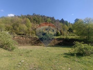 Venta ,Terreno de Ensueño vista al lago Riñihue