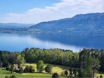 Venta ,Terreno de Ensueño vista al lago Riñihue