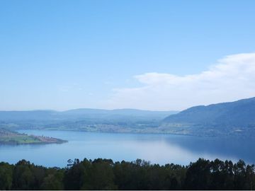 Venta ,Terreno de Ensueño vista al lago Riñihue