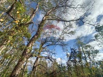 VENTA DE PARCELAS CON ROL PROPIO RIO CAYUMAPU