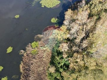 VENTA DE PARCELAS CON ROL PROPIO RIO CAYUMAPU
