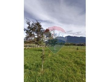 Parcela de Agrado con Domos en Venta Riñinahue