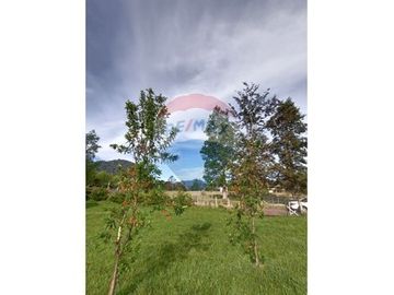 Parcela de Agrado con Domos en Venta Riñinahue