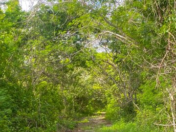 TERRENO EN MISNEBALAM, MERIDA, YUCATAN