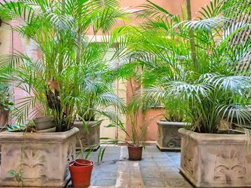 Espectacular PB con 3 dormitorios y jardín de 300 m2 Recoleta