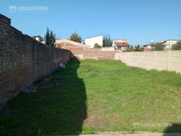 Casa con gran fondo libre, en lote de 8,66x42