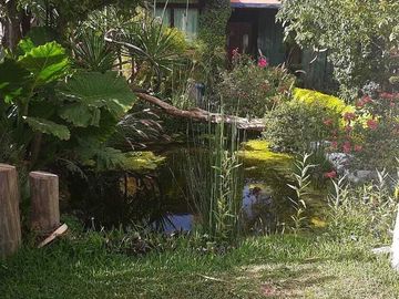 Excelente casa y terreno en venta en Xochimilco.