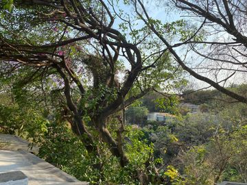 Casa en Fraccionamiento Jardines de Acapatzingo