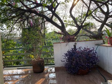 Casa en Fraccionamiento Jardines de Acapatzingo
