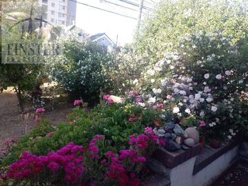 Finster Vende 1210 Mt2 Terreno Pleno  Centro Quilpue Ideal I
