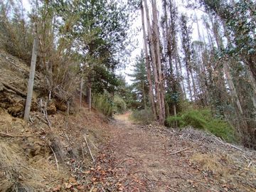 Parcela De 1 Hectárea Con Estero En El Totoral, Comuna De El