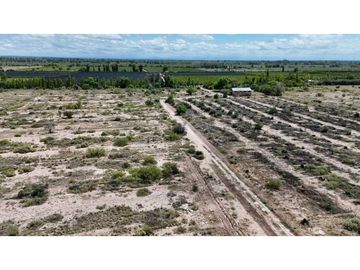 VENTA EXCEPCIONAL FINCA DE 231 HAS EN LOS CAMPAMENTOS- RIVADAVIA, MZA