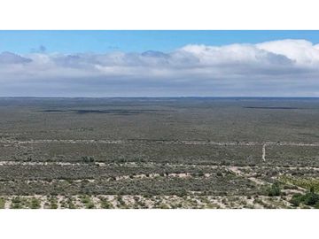 VENTA EXCEPCIONAL FINCA DE 231 HAS EN LOS CAMPAMENTOS- RIVADAVIA, MZA