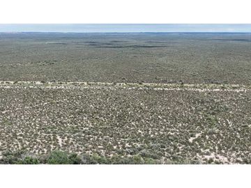 VENTA EXCEPCIONAL FINCA DE 231 HAS EN LOS CAMPAMENTOS- RIVADAVIA, MZA