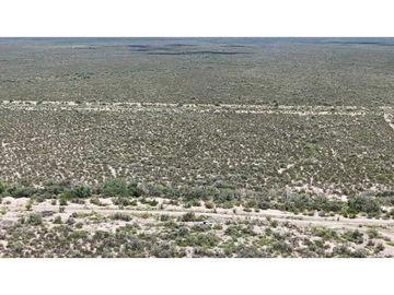 VENTA EXCEPCIONAL FINCA DE 231 HAS EN LOS CAMPAMENTOS- RIVADAVIA, MZA