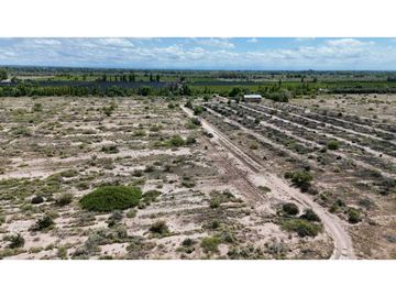VENTA EXCEPCIONAL FINCA DE 231 HAS EN LOS CAMPAMENTOS- RIVADAVIA, MZA