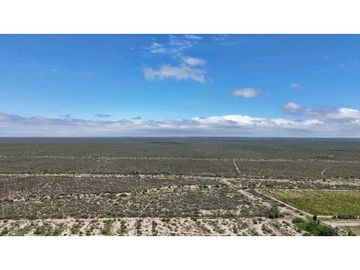 VENTA EXCEPCIONAL FINCA DE 231 HAS EN LOS CAMPAMENTOS- RIVADAVIA, MZA
