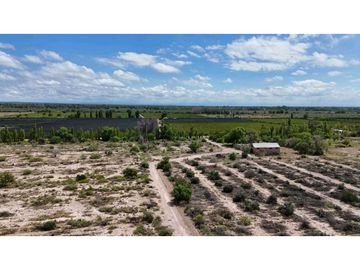 VENTA EXCEPCIONAL FINCA DE 231 HAS EN LOS CAMPAMENTOS- RIVADAVIA, MZA