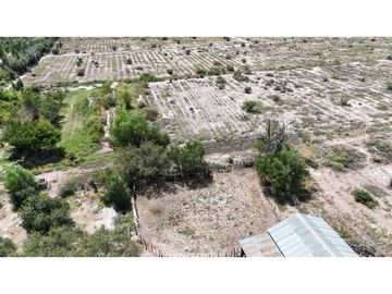 VENTA EXCEPCIONAL FINCA DE 231 HAS EN LOS CAMPAMENTOS- RIVADAVIA, MZA