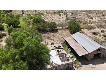 VENTA EXCEPCIONAL FINCA DE 231 HAS EN LOS CAMPAMENTOS- RIVADAVIA, MZA