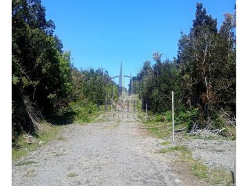 Finster Vende Parcelas Rio Pescado 5.000m2, Puerto Varas