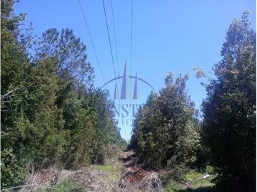 Finster Vende Parcelas Rio Pescado 5.000m2, Puerto Varas