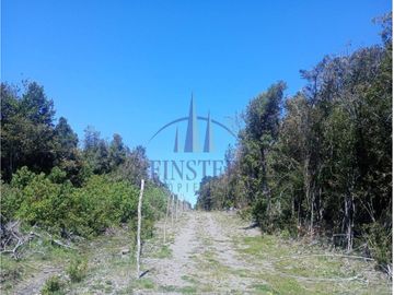 Finster Vende Parcelas Rio Pescado 5.000m2, Puerto Varas