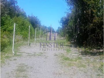 Finster Vende Parcelas Rio Pescado 5.000m2, Puerto Varas