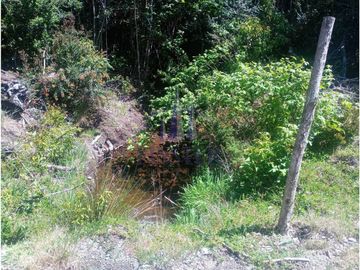 Finster Vende Parcelas Rio Pescado 5.000m2, Puerto Varas