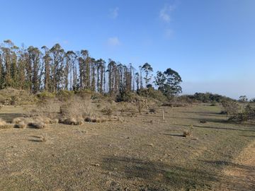 Venta Parcela Agrado Algarrobo Norte, Jz - R Del Rio Propied