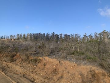 Venta Parcela Agrado Algarrobo Norte, Jz - R Del Rio Propied